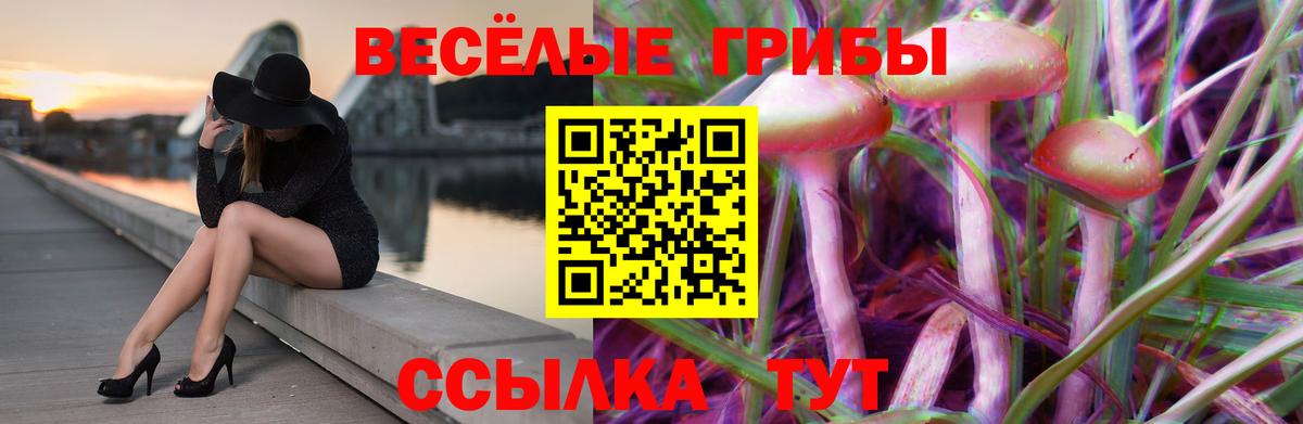 Псилоцибиновые грибы ЛСД  Вход с VPN  как найти закладки  Абакан 