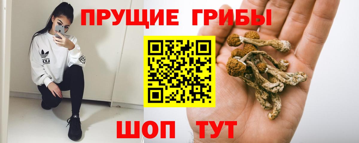 Псилоцибиновые грибы прущие грибы Абакан